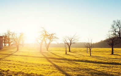 Sustainable workforce