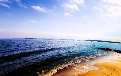 Working to Change the World